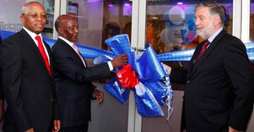 Britam Insurance Group The Leading Financial Services Provider in Africa