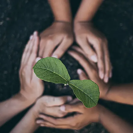 Special Fixed Income Fund